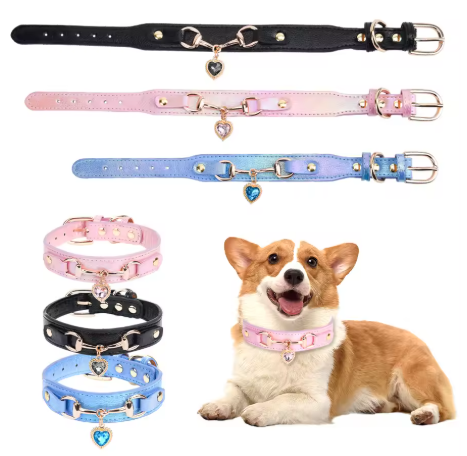 collier pour chien couleur rose noir bleu