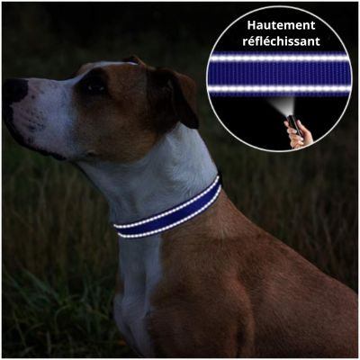 Collier pour chien hautement réfléchissant