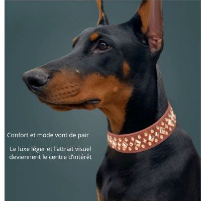 collier pour chien marron-or antique