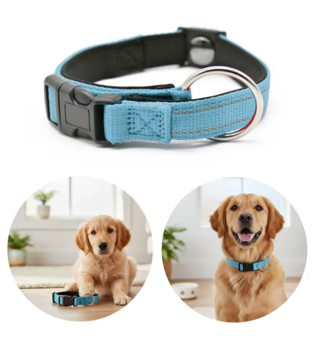 Collier pour chien nylon deux différents chiens