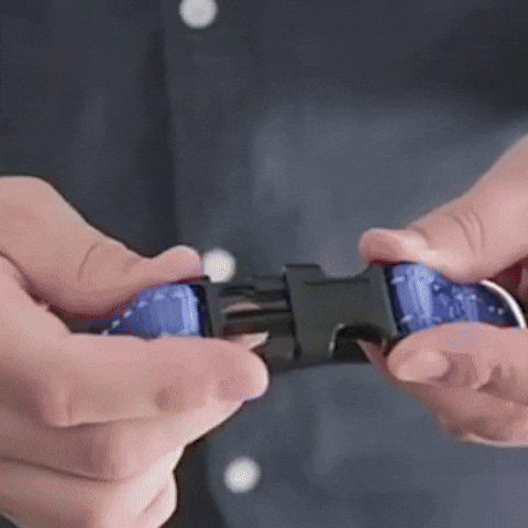 Collier pour chien nylon vidéo