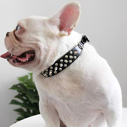 collier pour chien punkrock noir