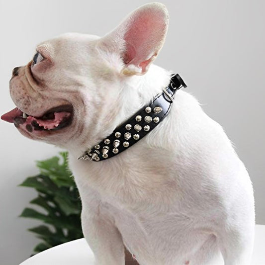 collier pour chien punkrock noir