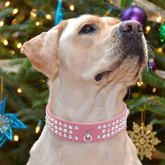 collier pour chien strass brillant couleur rose