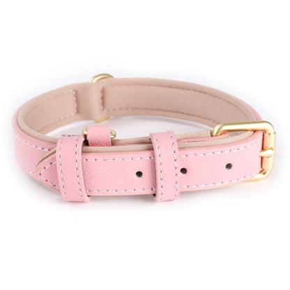 collier pour chien velar presentation rose