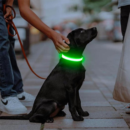 Colliers lumineux pour chiens verts