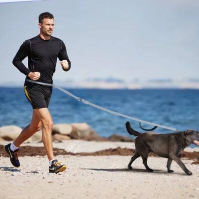 Laisse Mains Libres Chien | Confort Chic