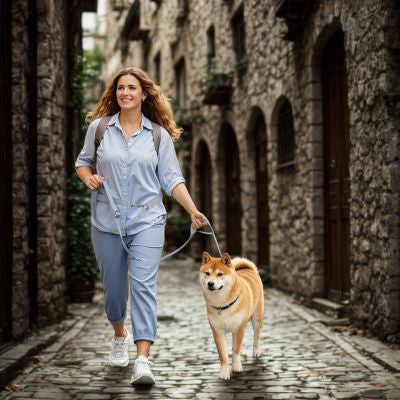 Confort chic laisse mains libres chien double poignées