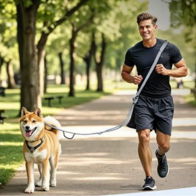 Laisse Mains Libres Chien | Confort Chic