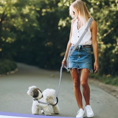 Confort chic petit chien promène maitresse laisse mains libres