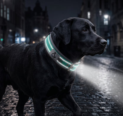 Couture milieu réfléchissante nuit collier pour chien