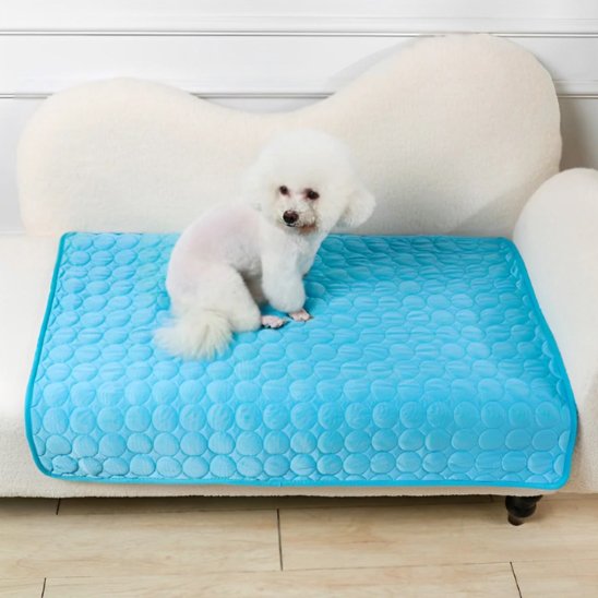 Couverture rafraichissante bleu petit chien assis