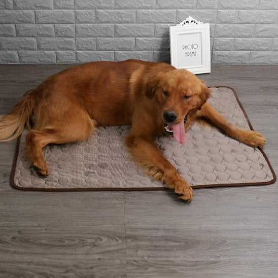 Couverture rafraichissante grand chien se relax
