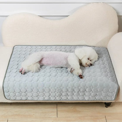 Couverture rafraichissante gris chien allongé se repose