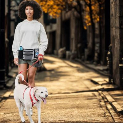 croc poket femme promène chien allée ombrager sac de taille d entraînement pour chien