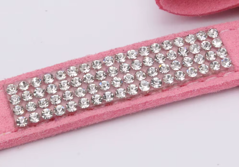 détail strass harnais pour petit chien