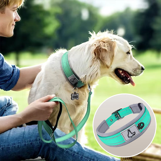 demonstration collier chien duke