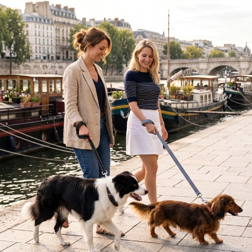 Deux chiens balade près péniche avec chien laisse pour chien refléchissante 