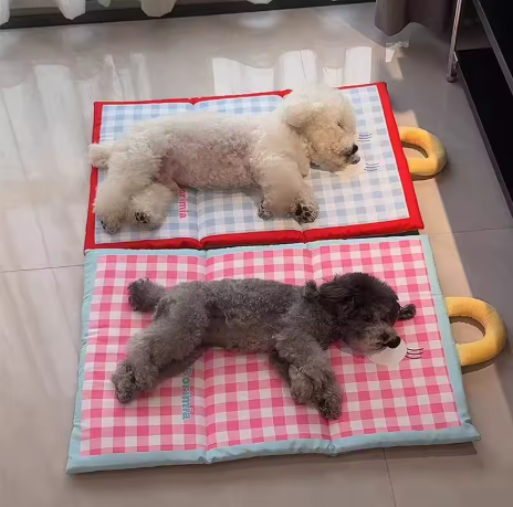 deux chiens dorment sur leur tapis rafraîchissant chien