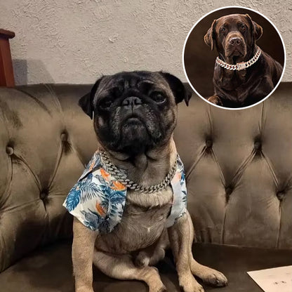 deux collier chien argent or