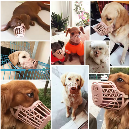 Différente race muselière pour chien