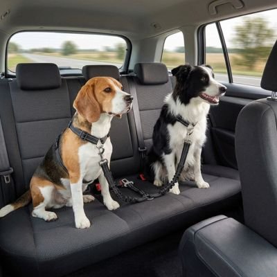 DogGuard Seat Ceinture de sécurité pour chien anti enchevêtrement 