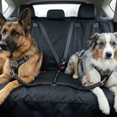 DogGuard Seat Ceinture de sécurité pour chien résistante