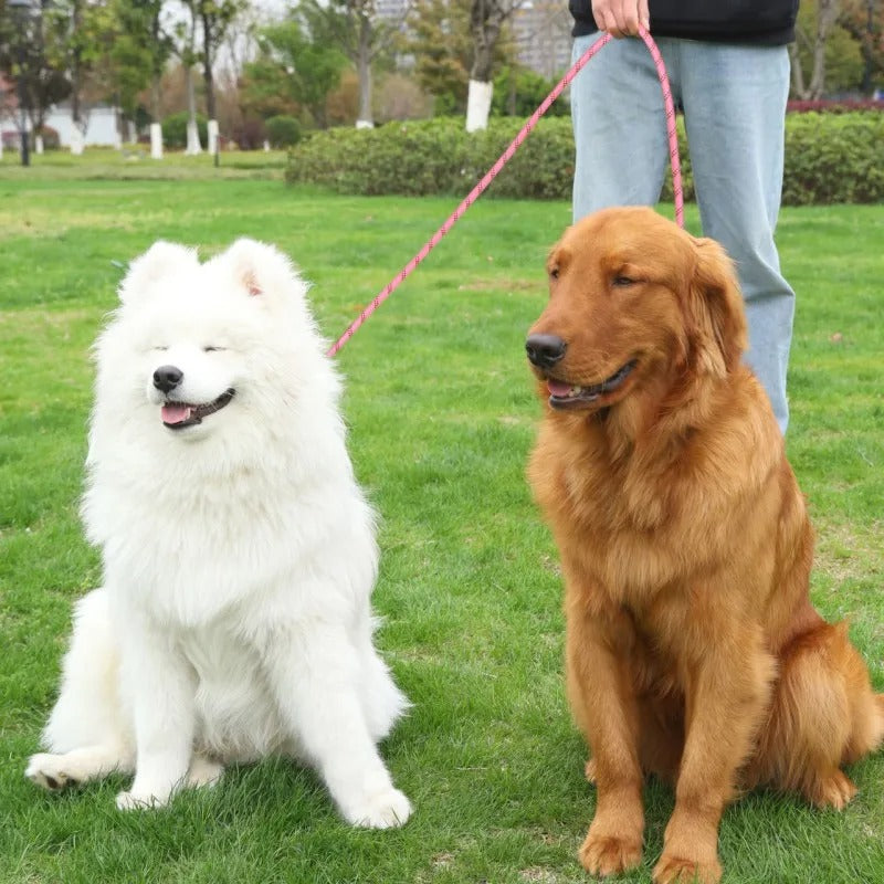 double chien laisse pour chien mains libres
