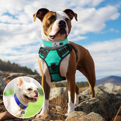 double collier chien duke