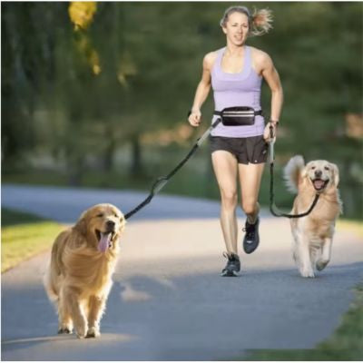 double dog femme court deux chien long canal