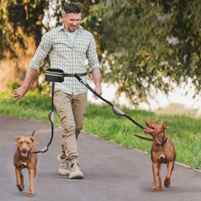 double dog homme court deux chien long canal