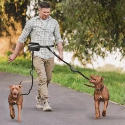 double dog maitre promène deux chien long canal