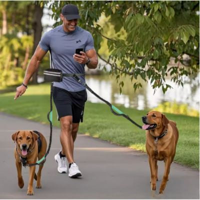 double dog maitre promène deux chien parc