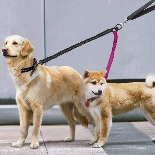 double laisse pour chien devant magasin