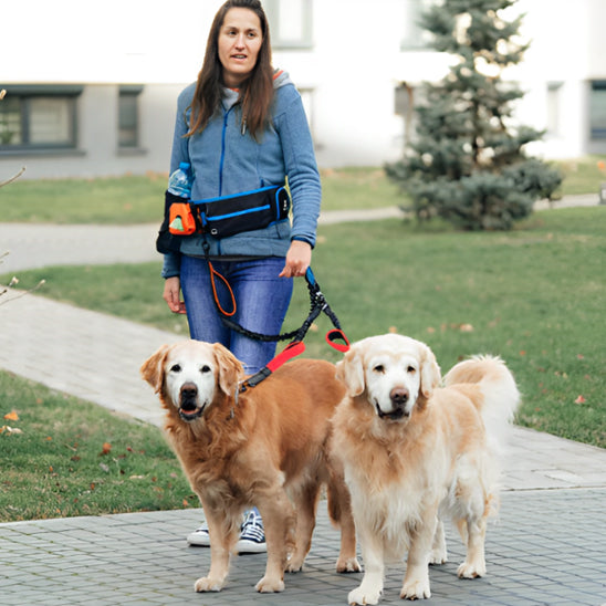 double laisse pour chien femme devant maison