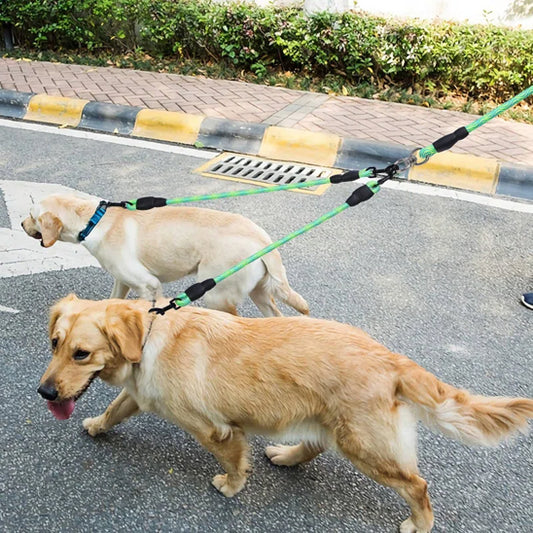 double laisse pour chien marche rue