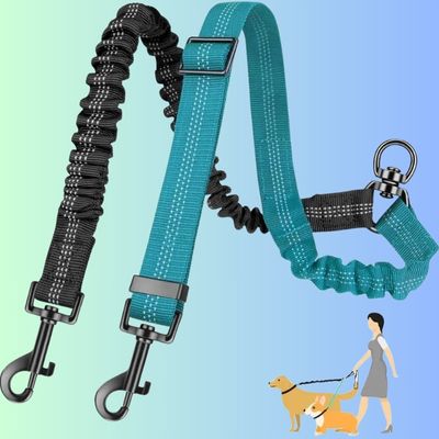 Double laisse pour chien / DuoAccessory™