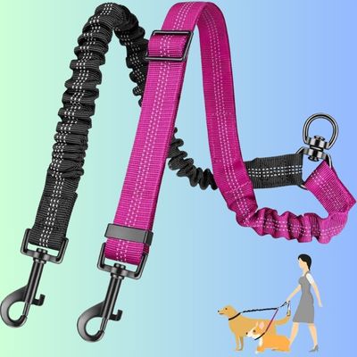 Double laisse pour chien / DuoAccessory™