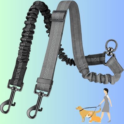 Double laisse pour chien / DuoAccessory™