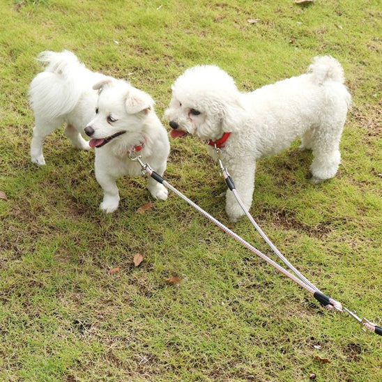 double laisse pour chien pre