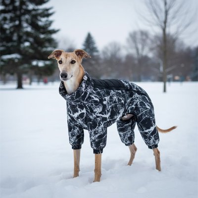 Drys Manteau chien doudoune chien est dans la neige
