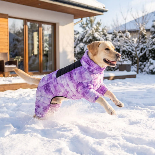Dryscombi chien saute neige manteau chien