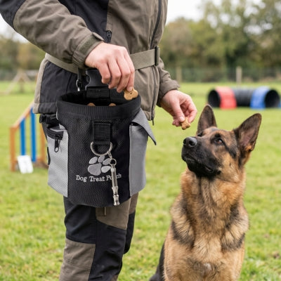 Éducatrice donne friandise sac de dressage pour chien