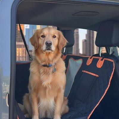 Elite Paw Protection chien voiture avec poches de rangements