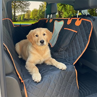 Elite Paw Protection chien voiture protection portières