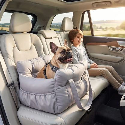 Enfant assis côté chien siège auto pour chien