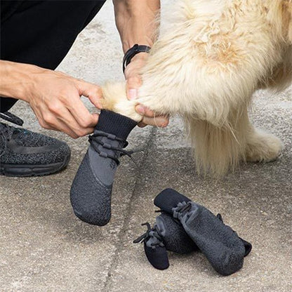 Enfilage des Chaussure Chien