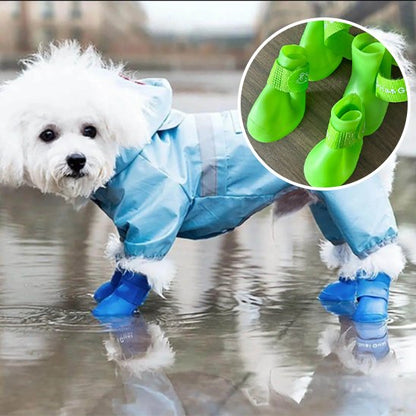 Equipement contre la pluie un imperméable et de chaussure chien
