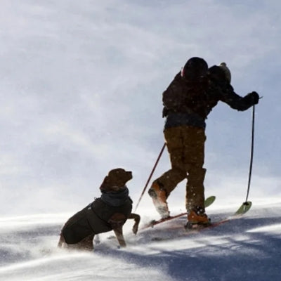 Excursion maitre chien neige manteau pour chien