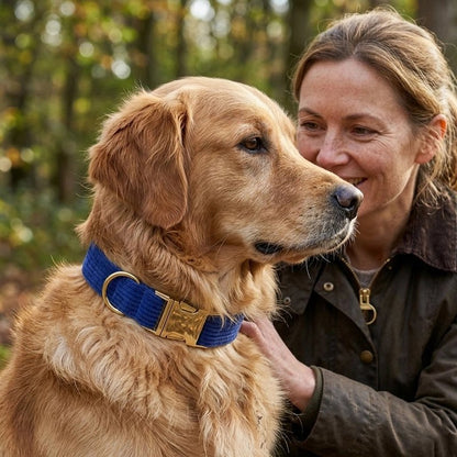 Femme ajuste Collier Pour Chien bleu